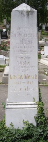 Mesch Gustav 1867-1942 Billes Sofia 1873-1892 Grabstein